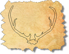 CAD Blocks Antlers